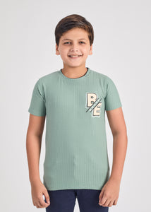 Kermit Boys Round Neck Tees - Green