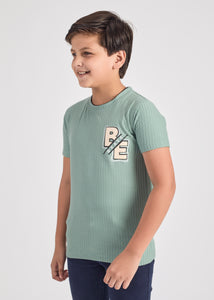 Kermit Boys Round Neck Tees - Green