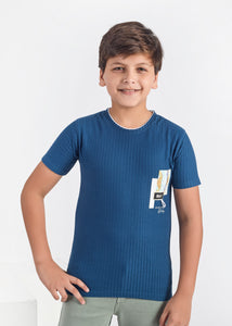 Kermit Boys Round Neck Tees - Blue